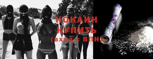 хмурый Гусь-Хрустальный