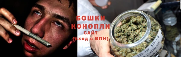 хмурый Гусь-Хрустальный