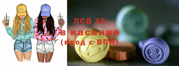 хмурый Гусь-Хрустальный