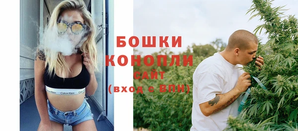 альфа пвп Гусев