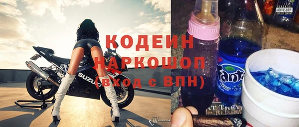 хмурый Гусь-Хрустальный