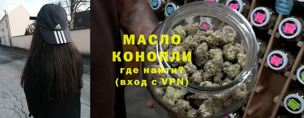 хмурый Гусь-Хрустальный