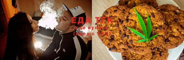 индика Горняк
