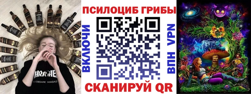 mega зеркало  Новочебоксарск  Псилоцибиновые грибы Psilocybe 
